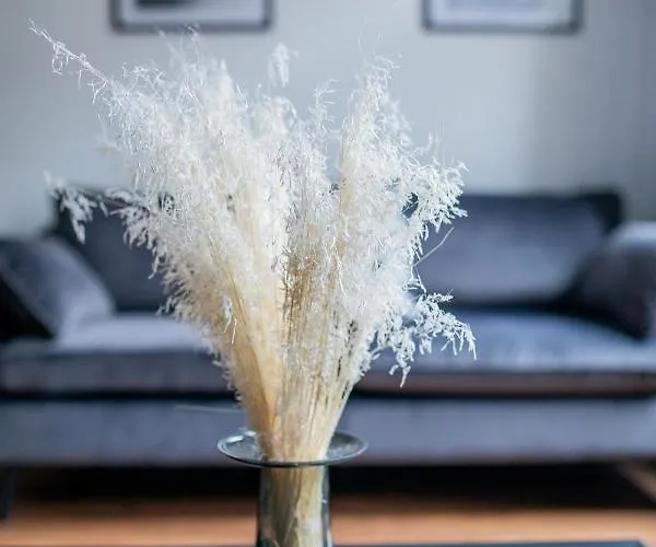 Residenz City-center شقة